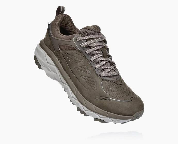 Hoka Challenger Low GORE-TEX Trailove Bezecke Tenisky Damske Hnede | Slovensko-7682390