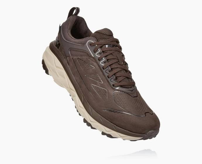 Hoka Challenger Low GORE-TEX Turisticke Topanky Panske Káva | Slovensko-7548106