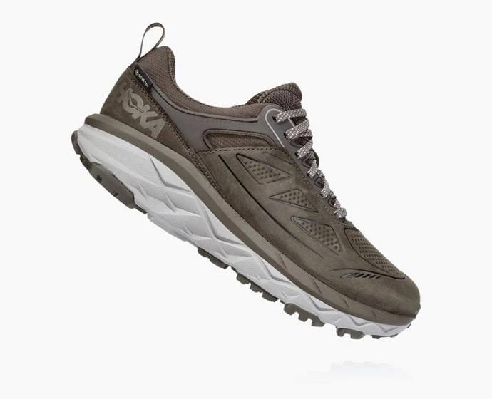 Hoka Challenger Low GORE-TEX Trailove Bezecke Tenisky Damske Hnede | Slovensko-7682390