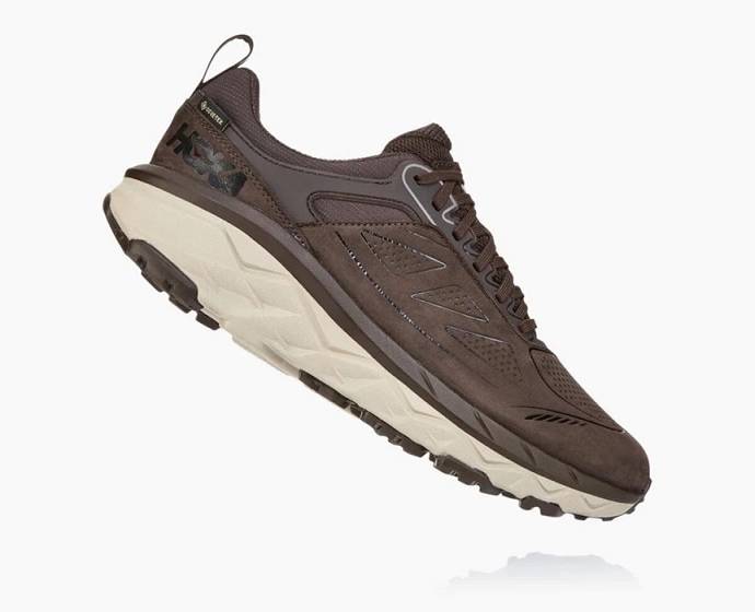 Hoka Challenger Low GORE-TEX Turisticke Topanky Panske Káva | Slovensko-7548106