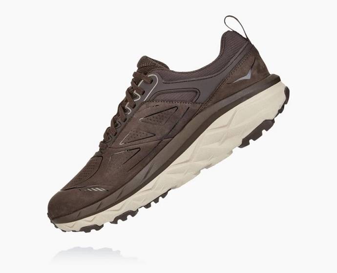 Hoka Challenger Low GORE-TEX Turisticke Topanky Panske Káva | Slovensko-7548106