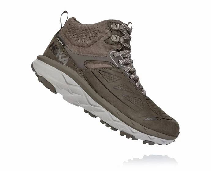 Hoka Challenger Stredne GORE-TEX Bezecke Topanky Damske Hnede | Slovensko-6574920