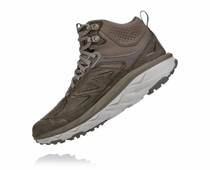 Hoka Challenger Stredne GORE-TEX Bezecke Topanky Damske Hnede | Slovensko-6574920